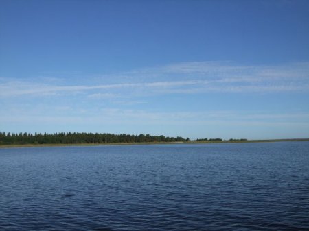 Озеро Воже. Вологодская область.