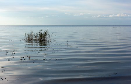 Чудско-Псковское озеро. Псковская область.