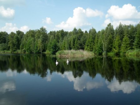 Озеро Центральное. Орловское Полесье.
