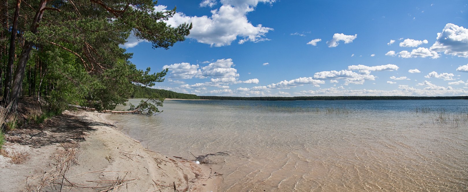 Белое озеро Беларусь