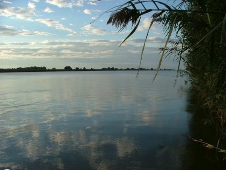 Река Волга. Республика Калмыкия.