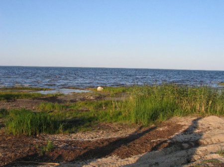 Озеро Кубенское. Вологодская область.