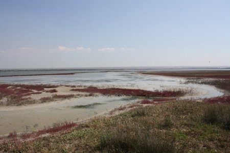 Озеро Ярылгач. Республика Крым.