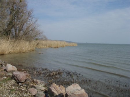 Рыбалка на озере Орель. Хабаровский край.