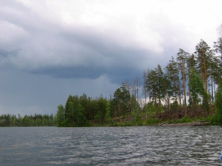 Озеро Кщара. Владимирская область.