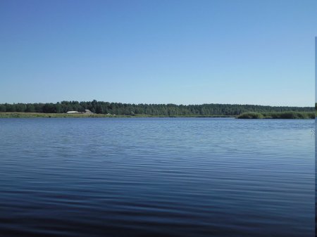 Озеро Большое Моховое. Пензенская область.