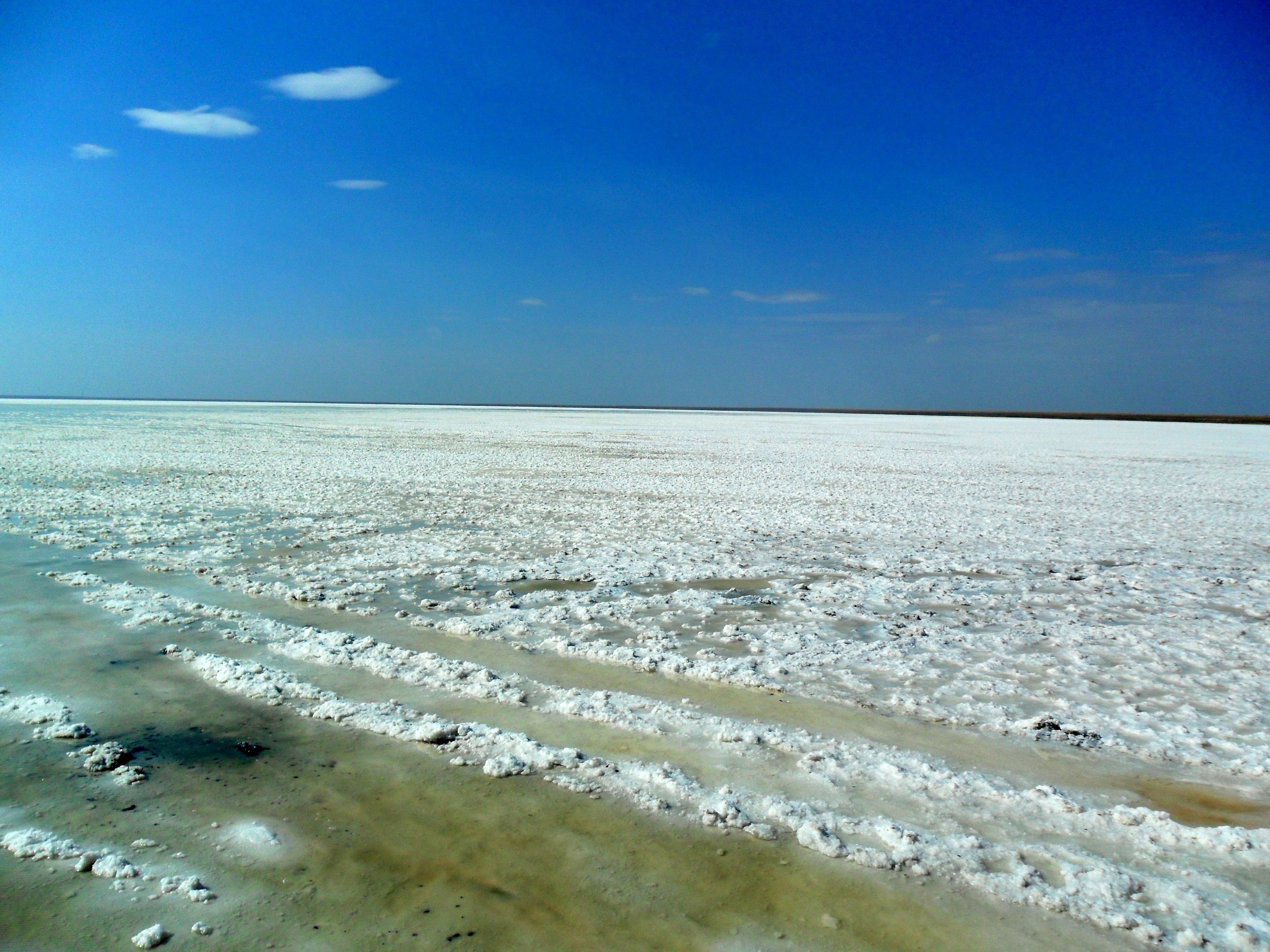 Волгоград соленое озеро Эльтон