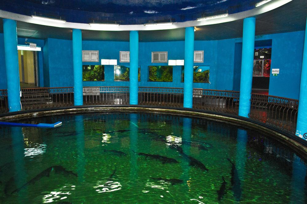 аквариум севастополь официальный сайт