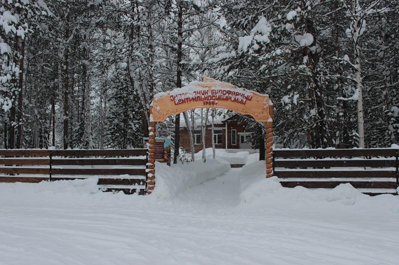 Центральносибирский заповедник картинки