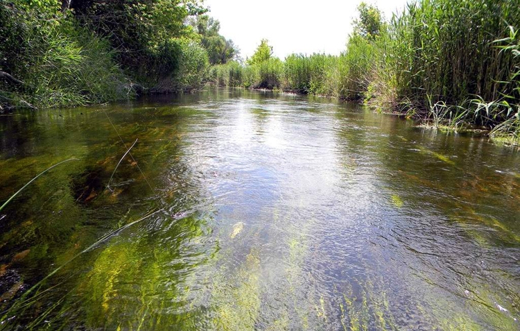 Иловля река в Волгоградской области: рыбалка, прогулки и отдых на природе