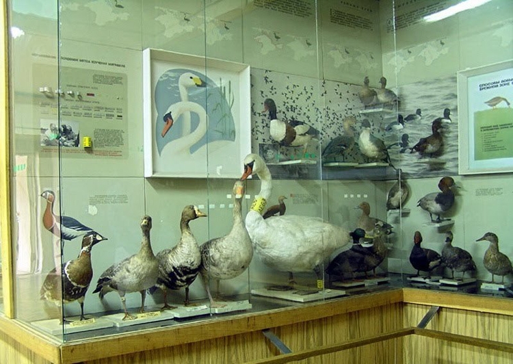 Музей Природы в Алуште