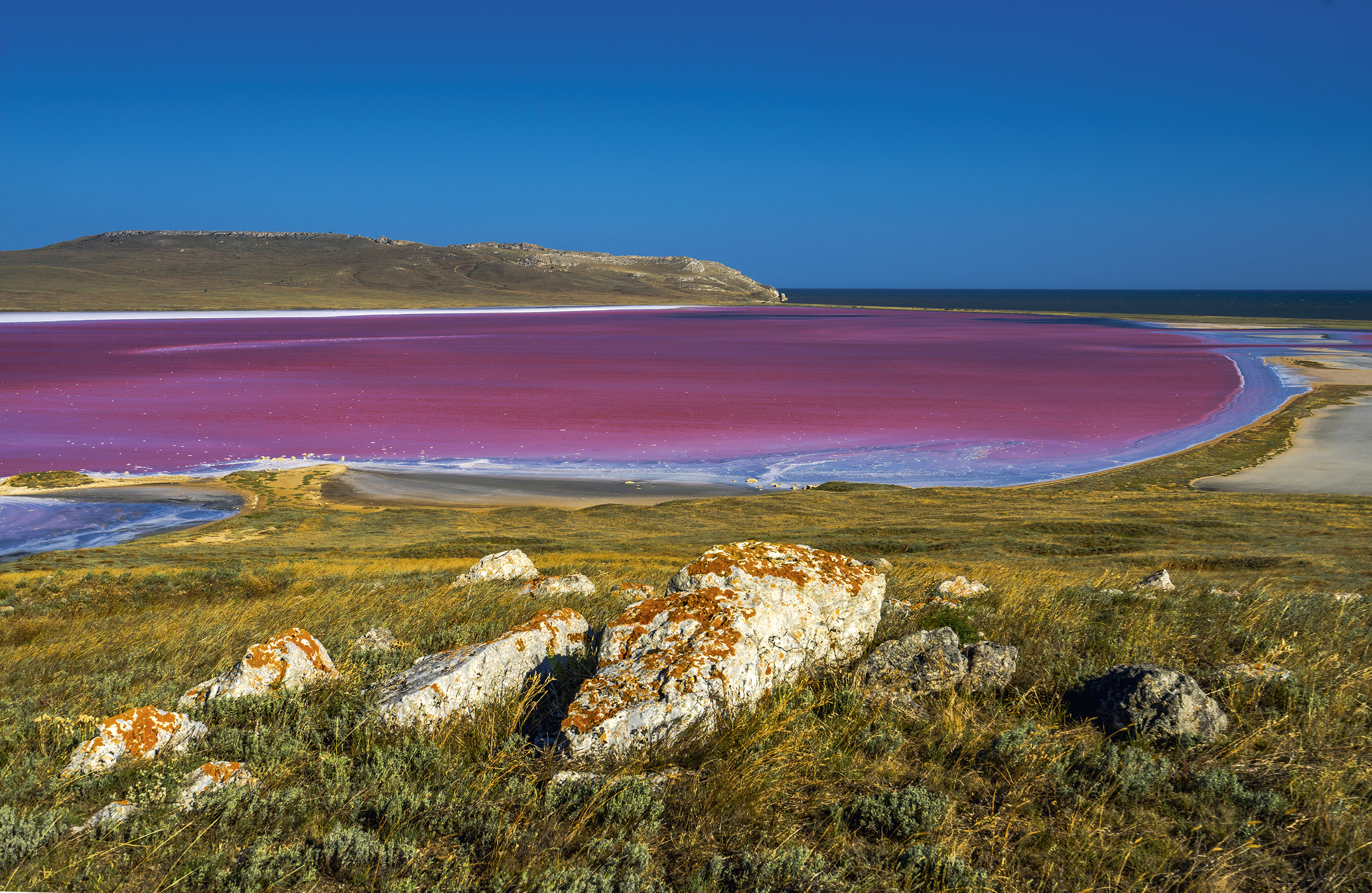 Где опукский заповедник. Мыс Опук Кояшское озеро. Кояшское розовое озеро в Крыму. Кояшское озеро Керчь. Розовое Кояшское озеро, мыс Опук.