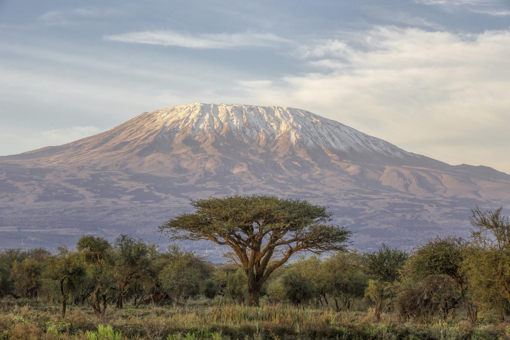 Самые высокие африки. Гора Килиманджаро. Вулкан Килиманджаро. Танзания гора Килиманджаро. Гора Килиманджаро в Танзании, Африка.