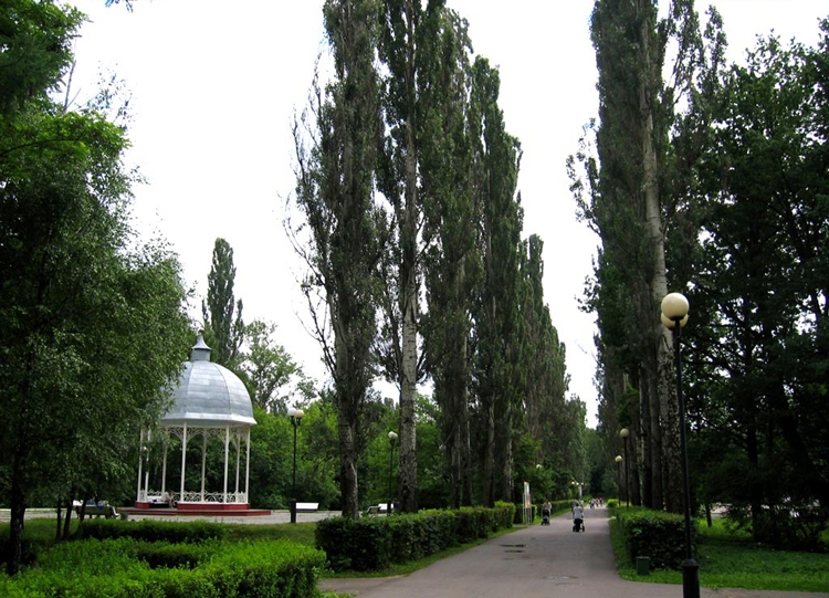 Измайловский Сад Фото